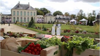 folie des plantes Nantes