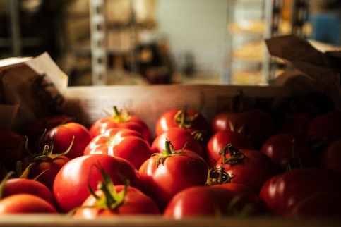 Panier de tomates