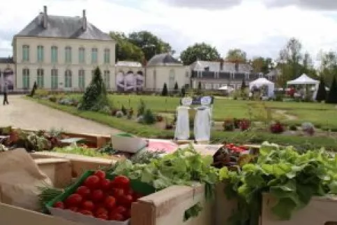 Folie des plantes potager saint julien