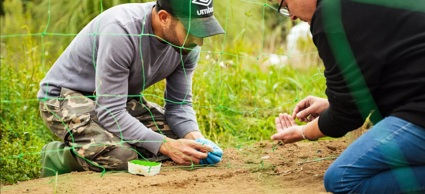 Deux personnes sèment des graines 