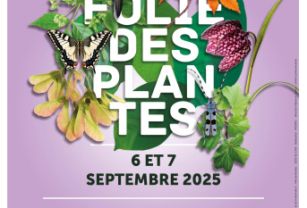 Affiche Folie des Plantes