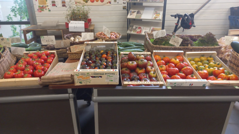 Photo vente de légumes pour marché