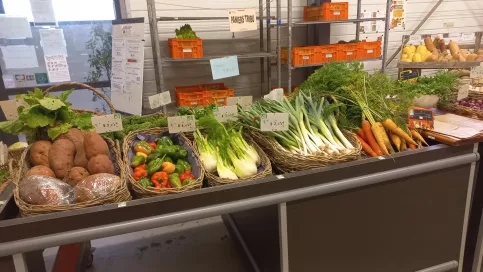 Ventes de légumes d'hiver