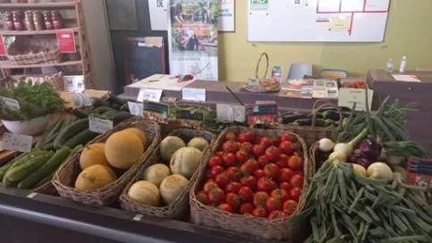 Légumes été 2