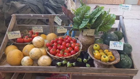 Légumes été 1