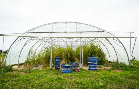 Serre du potager de saint julien