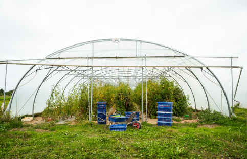 Serre du potager de saint julien