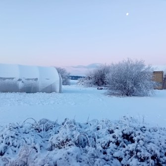 Tunnel et arbre enneigés 