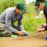 Plantation au Potager Saint Julien